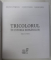TRICOLORUL IN ISTORIA ROMANILOR de ADINA BERCIU - DRAGHICESCU ... LUMINITA IORDACHE , 2020 *MICI DEFECTE COPERTA FATA