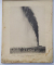 TROISIEME CONGRES INTERNATIONAL DU PETROLE ,BUCHAREST , SEPTEMBRE , 1907 , ALBUM DE FOTOGRAFIE