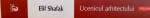 UCENICUL ARHITECTULUI de ELIF SHAFAK, 2015