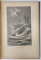 UN DON QUICHOTTE EN HERBE par JULES DORSAY , illustrations de L. VAUZANGERS , CCA. 1900