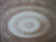 UNIVERSUL DIN CUSCA de PAVEL SUSARA , CONTINE ILUSTRATII DE DANIELA CHIRION , Timisoara 2011