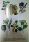 UNIVERSUL PLANTELOR , MICA ENCICLOPEDIE , ED. a - II - a REVAZUTA SI COMPLETATA de CONSTANTIN PARVU , 1997