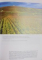 VACANTE ROMANTICE DE VIS, text de JASMINA TRIFONI, COORDONARE EDITORIALA de LAURA ACCOMAZZO, GRAFICA de STEFANIA COSTANZO, 2016