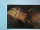 VAN GOGH'S VAN GOGHS : MASTERPIECES FROM THE VAN GOGH MUSEUM , AMSTERDAM