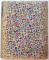VERSAILLES. TRENTE PLANCHES EN COULEUR D'APRES LES TABLEAUX DU PEINTRE. ORNEMENTATIONS DE DAVID BURNAND par CAMILLE MAUCLAIR, J.F. BOUCHOR, PARIS  1926