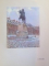 VERSAILLES. TRENTE PLANCHES EN COULEUR D'APRES LES TABLEAUX DU PEINTRE. ORNEMENTATIONS DE DAVID BURNAND par CAMILLE MAUCLAIR, J.F. BOUCHOR, PARIS  1926