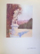 VERSAILLES. TRENTE PLANCHES EN COULEUR D'APRES LES TABLEAUX DU PEINTRE. ORNEMENTATIONS DE DAVID BURNAND par CAMILLE MAUCLAIR, J.F. BOUCHOR, PARIS  1926