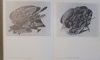 VICTOR BAUER , GALERIE DREISSEITEL , VOL I-II , 1975
