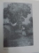 VIDA ARPAD ,1970