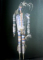 VISIONS DU FUTUR  - UNE HISTOIRE DES PEURS ET DES ESPOIRS DE L ' HUMANITE , 2000