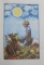 VOINICEL IN LUMEA CEA MARE de IRINA TEODORESCU , ILUSTRATII DE VIOREL PARLIGRAS , 1988