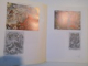 WANDA SACHELARIE VLADIMIRESCU PICTURA  1999