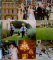 WEDDING BIBLE , 2006