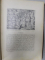 WELTALL UND MENSCHHEIT  von HANS KRAEMER , VOLUMELE I - V , TEXT IN GERMANA CU CARACTERE GOTICE,  LEGATURA ART NOUVEAU, 1906