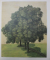 WEST EUROPEAN DRAWING OF XVI  - XX CENTURIES  - KUNSTHALLE COLLECTION IN BREMEN  - CATALOGUE , 1992