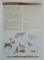 WORLD REFERENCE , OVER 1000 PAGES OF GLOBAL INFORMATION , GEOGRAPHICA'S  , 2000
