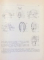 ZOOLOGIA NEVERTEBRATELOR de VASILE GH. RADU, VARVARA V. RADU, VOL II , 1967