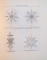ZOOLOGIA NEVERTEBRATELOR, VOL. I, EDITIA A II-A REVIZUITA de V. GH. RADU, V.V. RADU, 1972