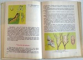 ZOOLOGIE, MANUAL PENTRU CLASA A VI - A de C. BOGOESCU, AL. DABITA, A. STOICESCU, 1978
