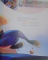 ZOOTROPOLIS , BIBLIOTECA ILUSTRATA DISNEY , EDITIE DE COLECTIE  , ILUSTRATII de DISNEY STORYBOOK ART TEAM