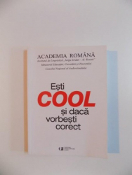 Esti Cool Si Daca Vorbesti Corect De Blanca Croitor Isabela Nedelcu Rodica Zafiu 2010