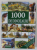 1000 DE DINOZAURI , ALBUM ILUSTRAT , 2009