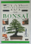 101 TRUCS ET CONSEILS , No.17  : LES BONSAI  , 1996
