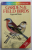 A COLOUR GUIDE TO FAMILIAR GARDEN AND FIELD BIRDS  - EGGS AND NESTS by JIRI FELIX , illustrated by KVETOSLAV HISEK , 1983