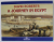 A JOURNEY IN EGYPT by DAVID ROBERTS , comentary and drawings by DAVID ROBERTS : RITA BIANUCCI , ANII ' 2000