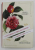 A VICTORIAN FLOWER DICTIONARY - THE LANGUAGE OF FLOWERS COMPANION by MANDY KIRKBY , 2011