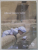 ABU DHABI , OFFICIAL VISITORS '' GUIDE , ANII  ' 2000