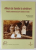 ALBUM DE FAMILIE LA SARBATORI , RELATARI CONTEMPORANE DESPRE SARBATORI IN FAMILIE de RODICA ZANE , 2006