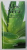 ALOE VERA - THE NATURAL HEALING CHOICE by LEE FABER , 2008