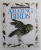 AMAZING BIRDS , written by ALEXANDRA PARSONS , photographed by JERRY YOUNG , 1990