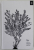 AN ELEGANT PUZZLE , SYSTEMS OF ENGINEERING MANAGEMENT by WILL LARSON  , 2019