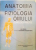 ANATOMIA SI FIZIOLOGIA OMULUI , CU APLICATII PRACTICE , 2000