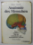ANATOMIE DES MENSCHEN von ROHEN und YOKOCHI , PHOTOGRAPHISCHER ATLAS , 1988