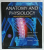 ANATOMY AND PHYSIOLOGY , FROM SCIENCE TO LIFE , INTERNATIONAL STUDENT VERSION by GAIL W. JENKINS ...GERARD J. TORTORA , 2010 , BOGAT ILUSTRATA