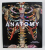 ANATOMY  : EXPLORING THE HUMAN BODY , 2019