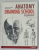 ANATOMY HUMAN , DRAWING SCHOOL by ANDRAS SZUNYOGHY by GYORGY FEHER , 2010