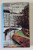 ANGELO A BERLINO di GIULIANA MORANDINI , TEXT IN LIMBA ITALIANA , 1987 , DEDICATIE *