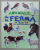 ANIMALE DE LA  FERMA , ALBUM CU PESTE 50 DE ABTIBILDURI , 2021