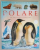 ANIMALE POLARE PE INTELESUL COPIILOR , texte de EMILIE BEAUMONT si RAPHAELLE CHAUVELOT , imagini MARIE - CHRISTINE LEMAYEUR si BERNARD ALUNNI , 2008