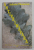 ANTIPRIMAVARA , poezii de ADRIAN PAUNESCU , 2005