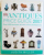 ANTIQUES PRICE GUIDE 2007 - OVER 8000 ANTIQUES , ALL NEW  COLOUR PHOTOGRAPHY by JUDITH MILLER , 2006