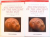 ARCHEOLOGY OF THE ANCIENT NEAR EAST , VOL.I-II , 2012