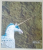 ARIANA SI ION NICODIM , CATALOG DE EXPOZITIE , ALBUM , TEXT IN FRANCEZA si ITALIANA , 2004