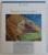 ART QUILT POTOFOLIO - PEOPLE and PORTRAITS  - PROFILES OF MAJOR ARTISTS GALLERIES OF INSPIRING WORKS by MARTHA SIELMAN , 2013