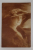 A.S.R. , PRINCIPESA ELISABETA A ROMANIEI , CARTE POSTALA , INCEPUTUL SEC. XX