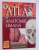 ATLAS DE ANATOMIE UMANA de FLORICA TIBEA , 2001